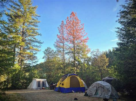 Disconnect from the World at Mendocino Magic Campground